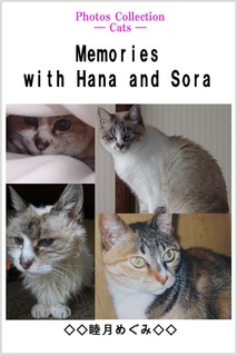 Photos Collection — Cats —　 Memories with Hana and Sora